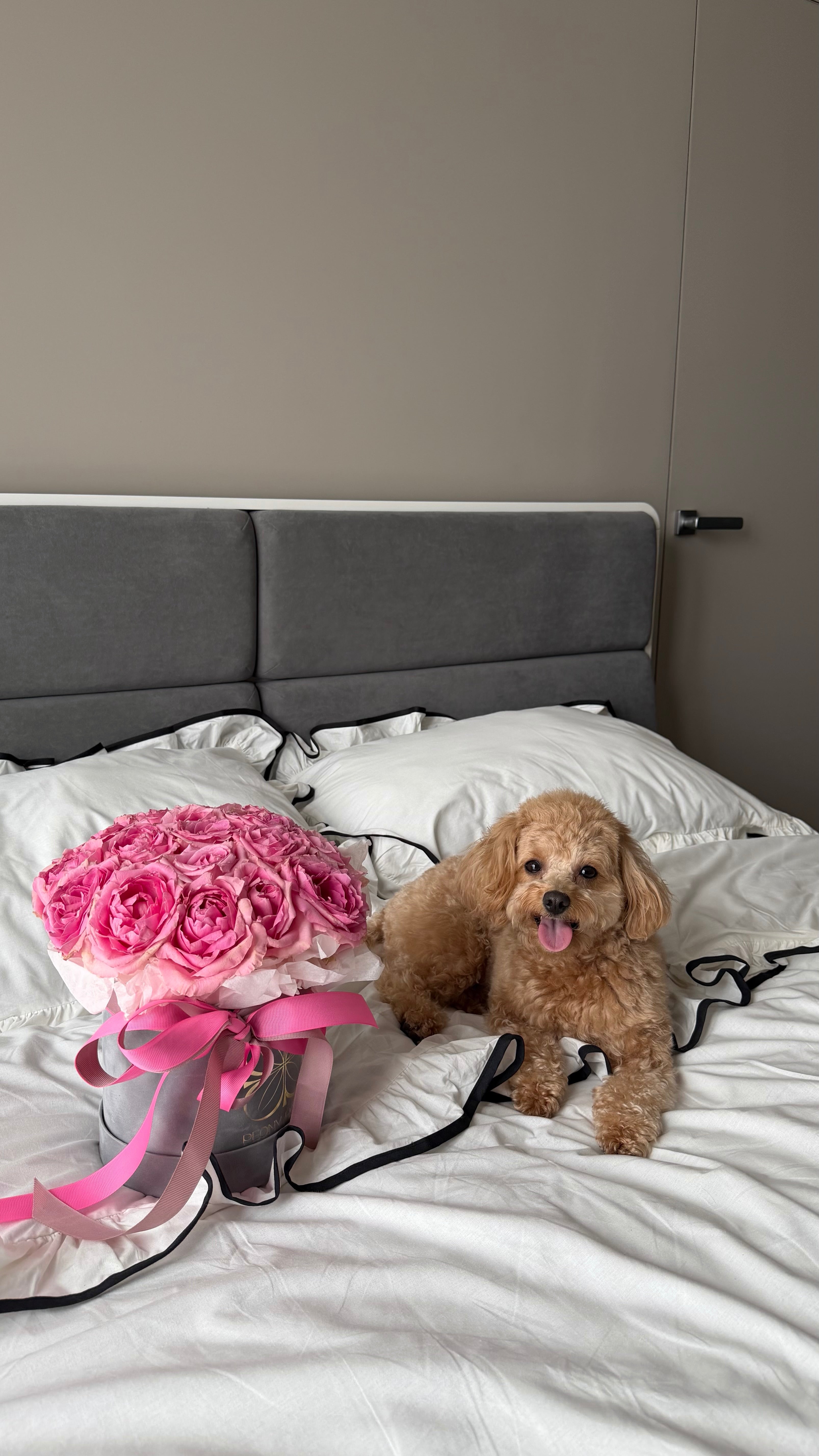 White Ruffle Bedding Set with Black Trim | 100% Cotton | Handmade | Made to Order