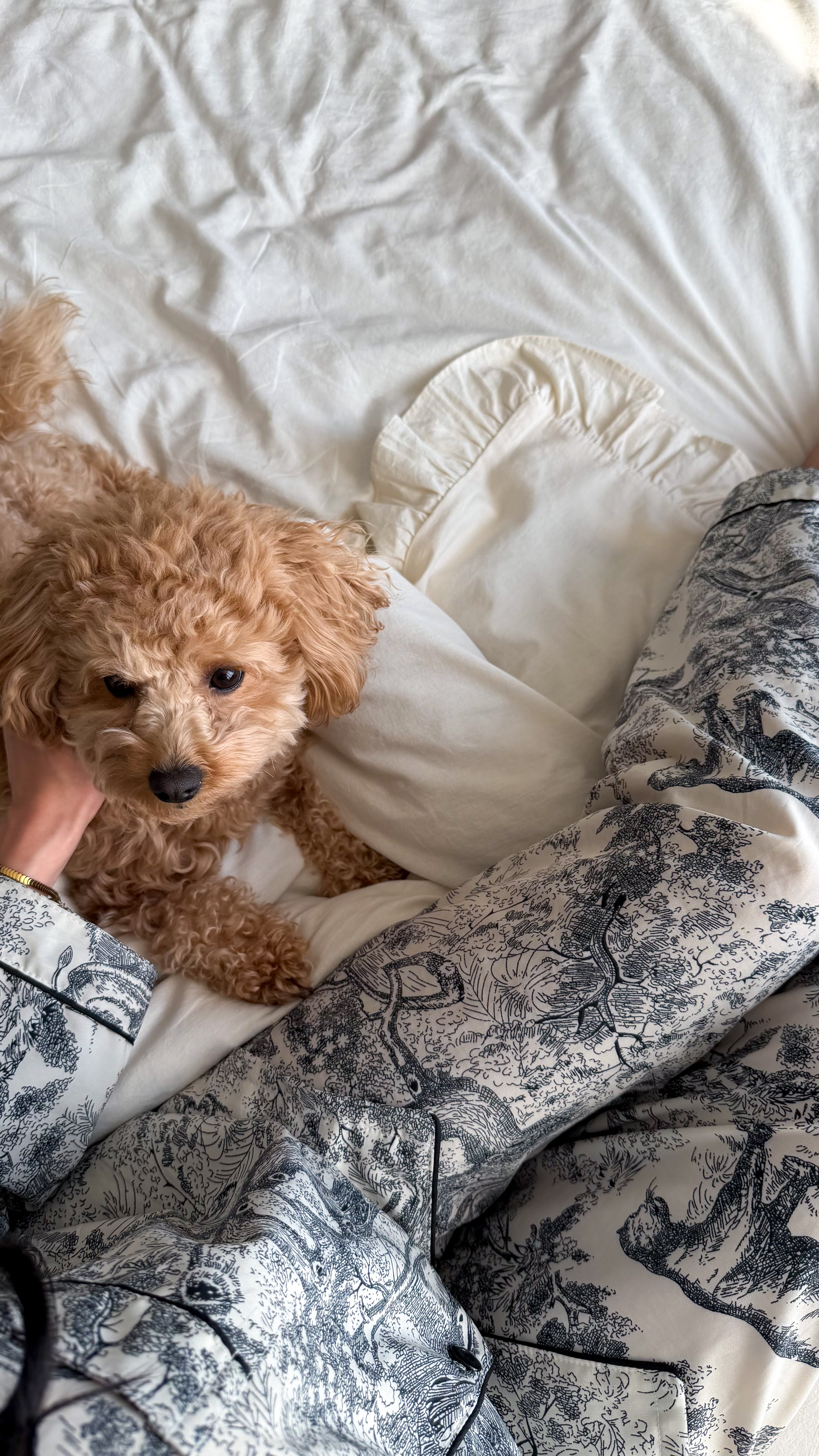 Ivory Washed Cotton Ruffle Bedding Set | Handmade | Made to Order