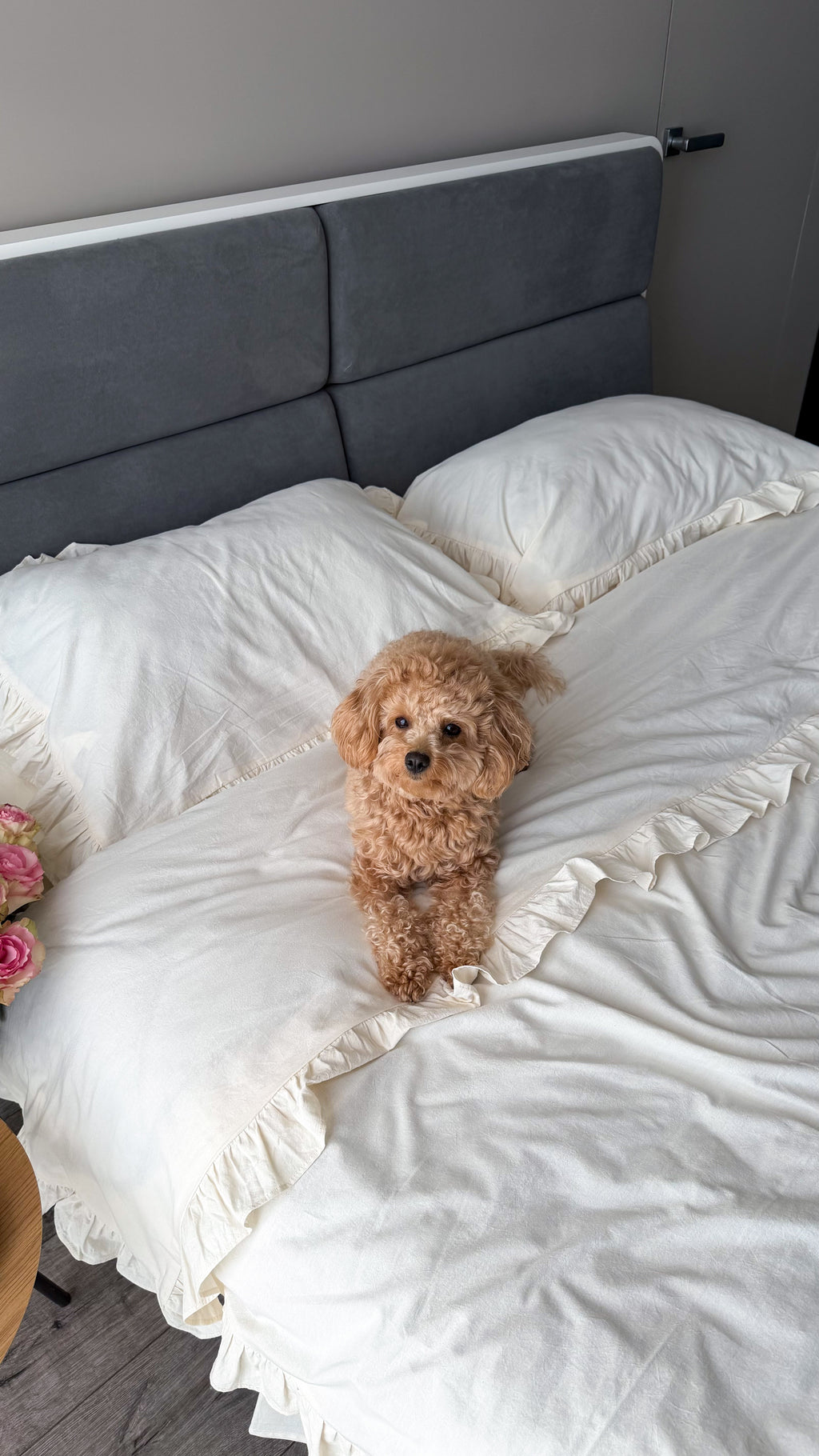 Ivory Washed Cotton Ruffle Bedding Set | Handmade | Made to Order