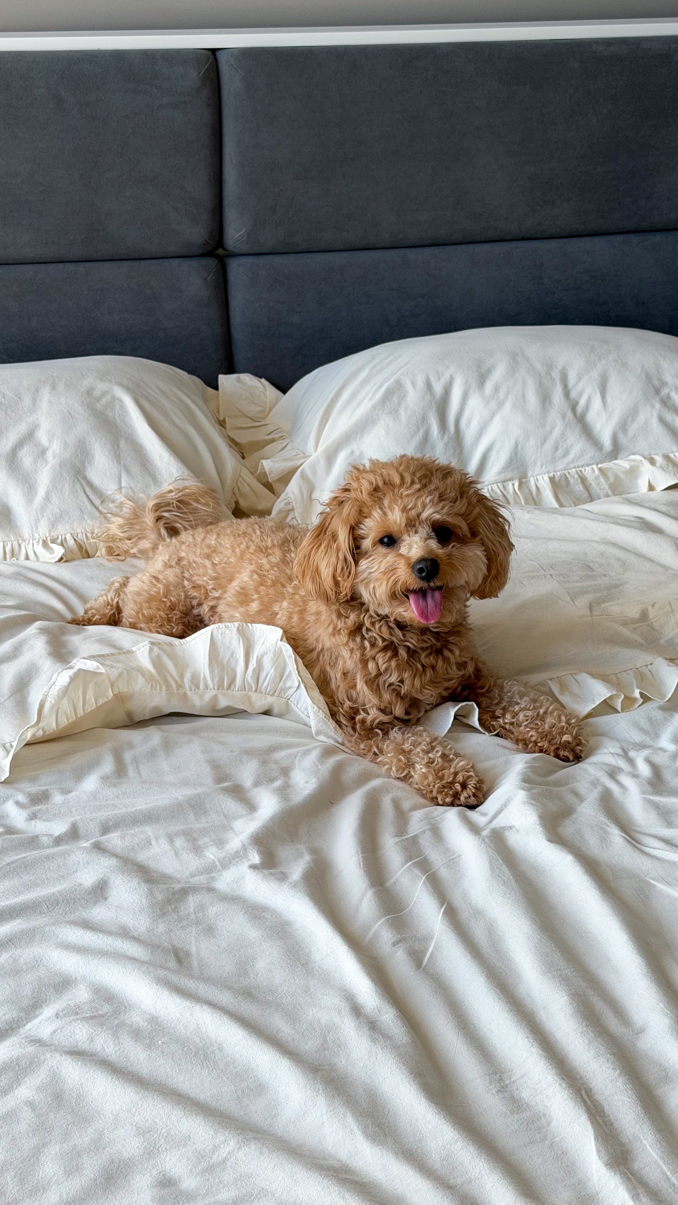 Ivory Washed Cotton Ruffle Bedding Set | Handmade | Made to Order