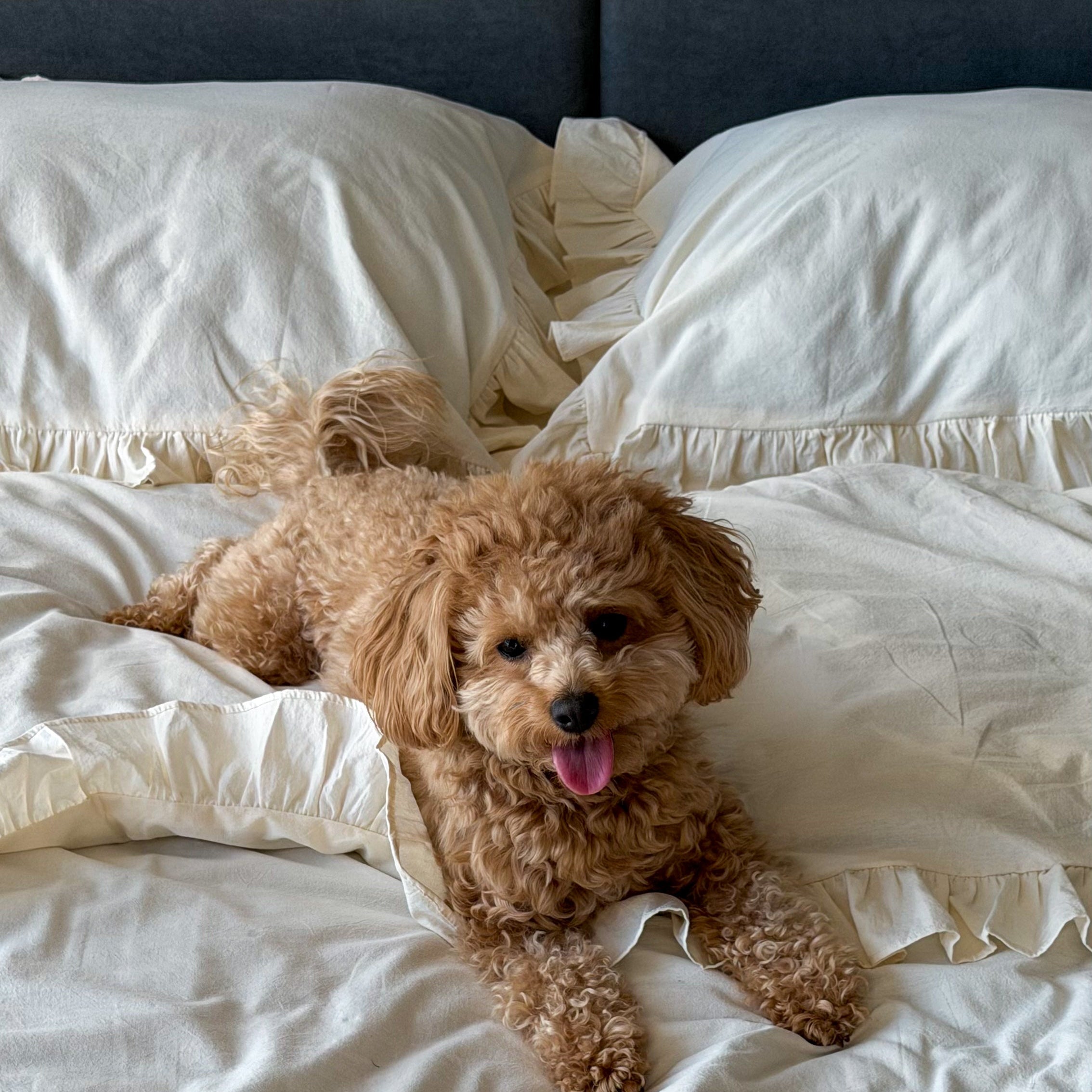 Ivory Washed Cotton Ruffle Bedding Set | Handmade | Made to Order