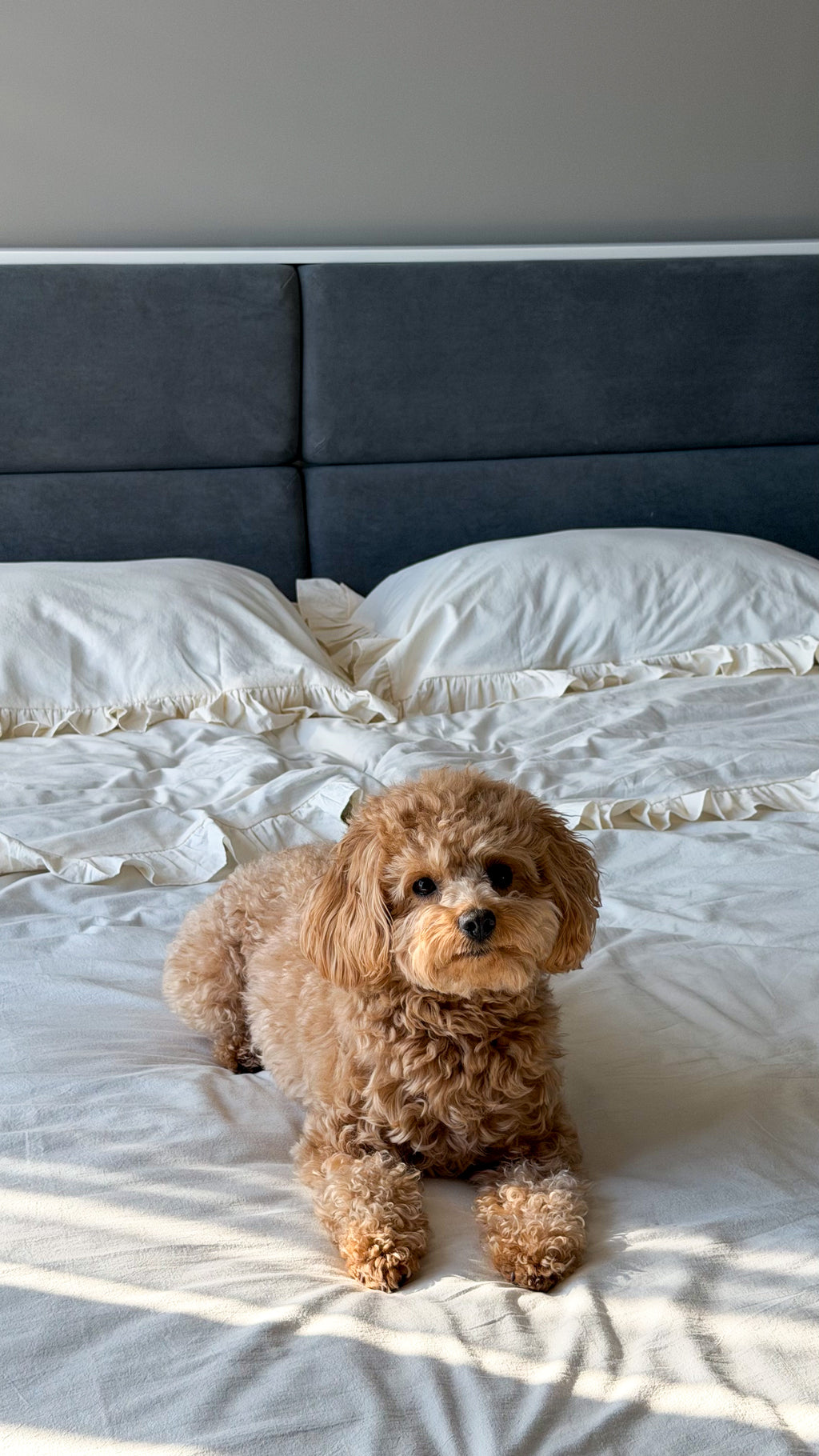 Ivory Washed Cotton Ruffle Bedding Set | Handmade | Made to Order