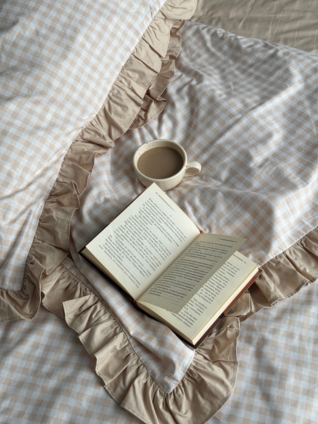 Beige Gingham Ruffle Bedding Set